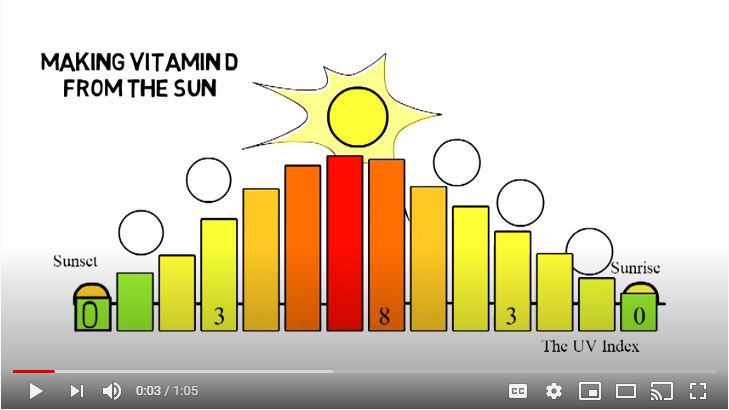 Your Can Tell You if it's the Right Time to Make Vitamin D - GrassrootsHealth