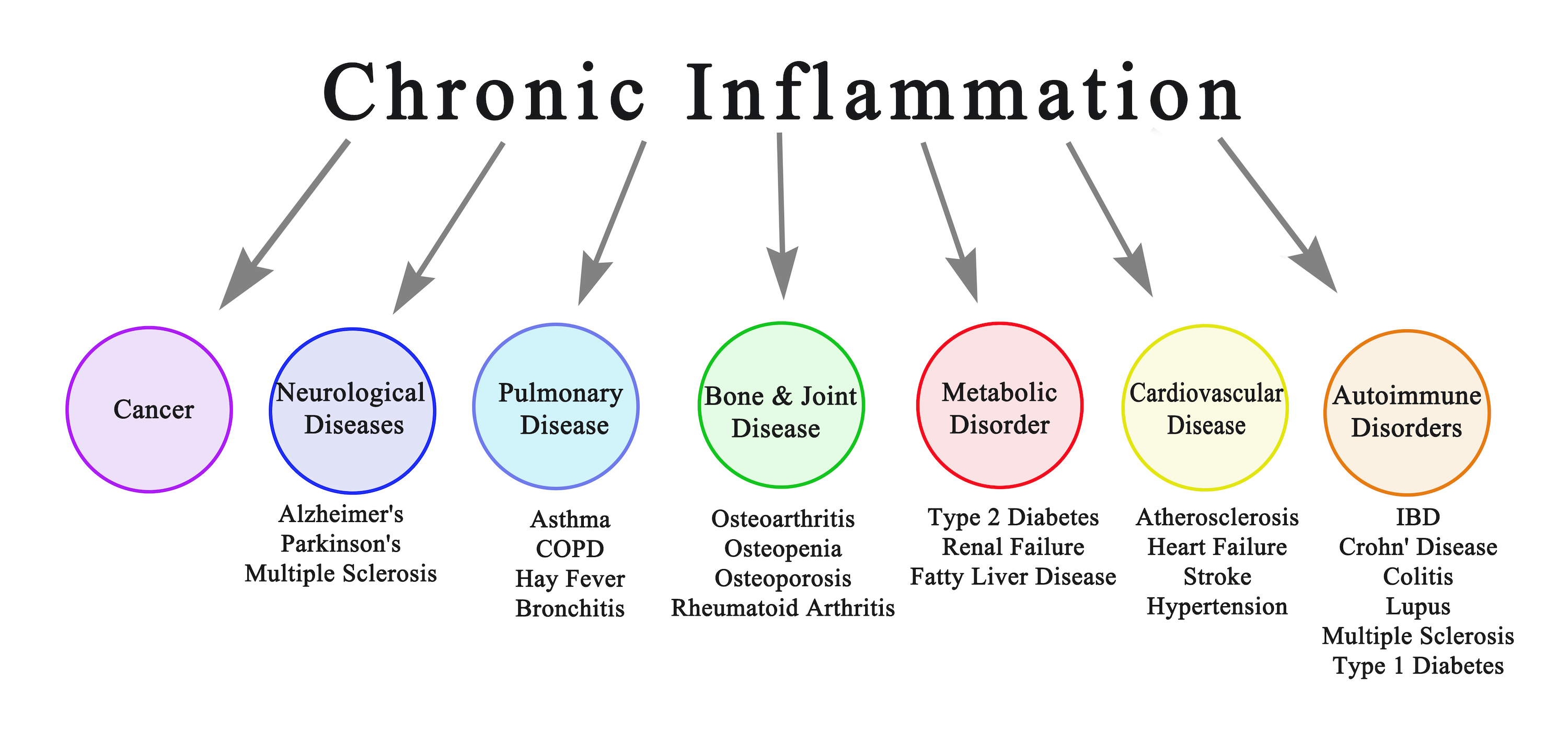 How To Detect Silent Inflammation An Early Warning Of Un Diagnosed Diseases GrassrootsHealth